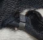 Putting a band on a chick Banding is a very common method for marking birds. In Adélie Penguins, a small metal band is placed around the left wing at the shoulder of the bird.