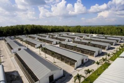 There are altogether 11 group housing sheds in Farm 1 which are constructed in different configurations ranging from 8 to 24 pens per shed due to geographic constraints.