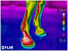 Thermal imaging can quickly monitor healing of both soft-tissue and bony lesions through serial analysis of heat signature.