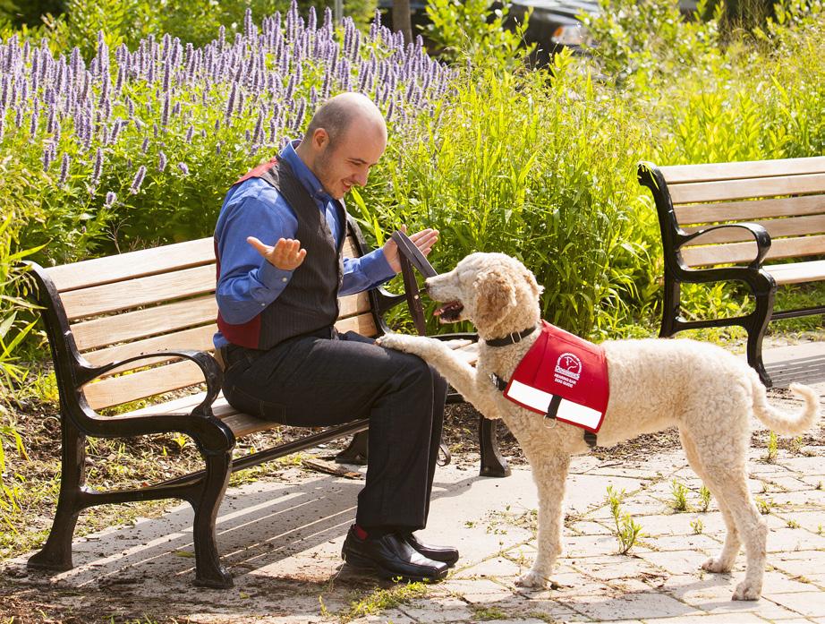 They can also bark for help or activate an alert system AUTISM ASSISTANCE DOG GUIDES Autism Assistance Dog Guides help provide safety, companionship and unconditional