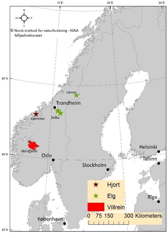 Chronic Wasting Disease (CWD) Stauts in Norway Our goal is healthy cervidae in Norway CWD a prion disease no