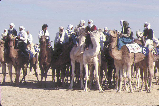 The place of camel in the world Countries where camel livestock is