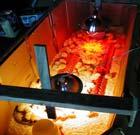 long-term survival & development Check your chicks at least twice per day Space = 1 square foot Heat 2 heat lamps (in case one burns out) 95 F for week 1; then decrease 5 F per week to 70 F (need