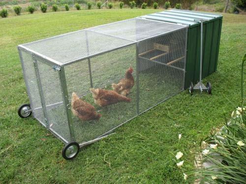 Chicken Tractor Advantages Can be moved very easily