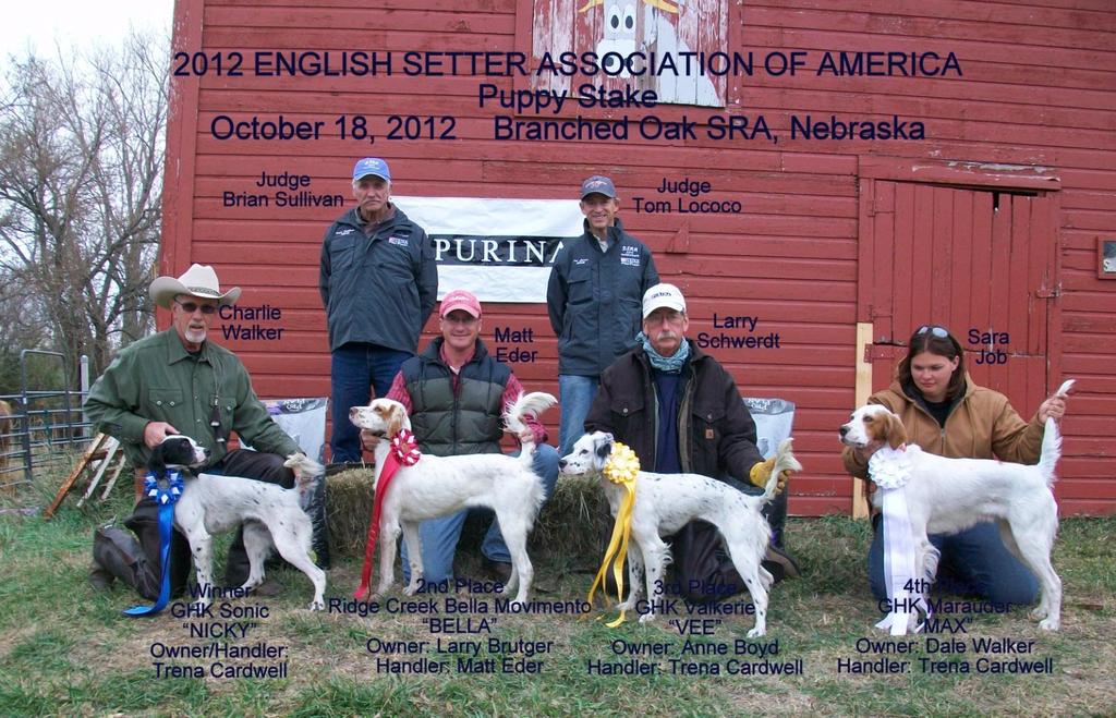 The next stake was the Derby Classic. In the saddle to judge these young dogs were Ned Myers and Tom Lococo.