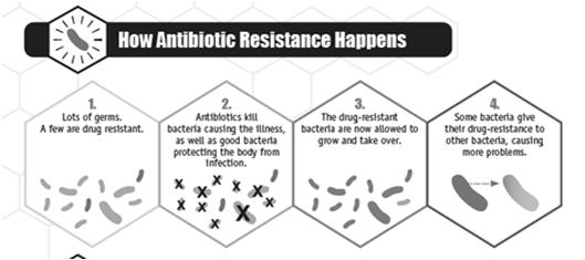 ONE HEALTH CONCEPT: Humans Animals Environment CDC Antibiotic Resistance Threats 2013 CDC Antibiotic Resistance Threats 2013 Antimicrobial Overuse