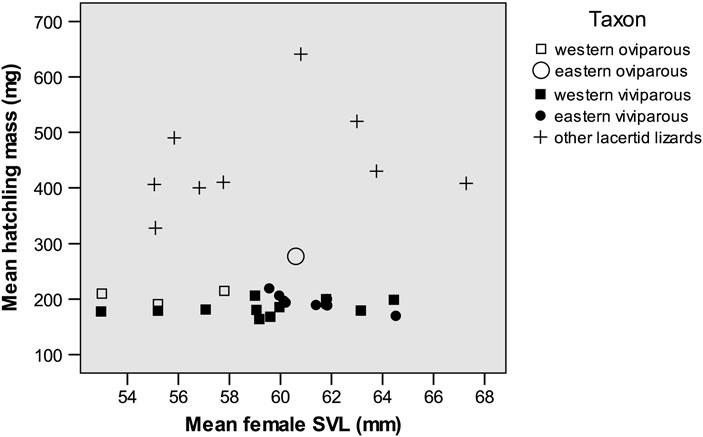 Evol Biol (2013) 40:420 438 431 Fig. 6 Mean hatchling mass and mean body length of reproducing females in different populations of Zootoca vivipara and other European species of the family Lacertidae.