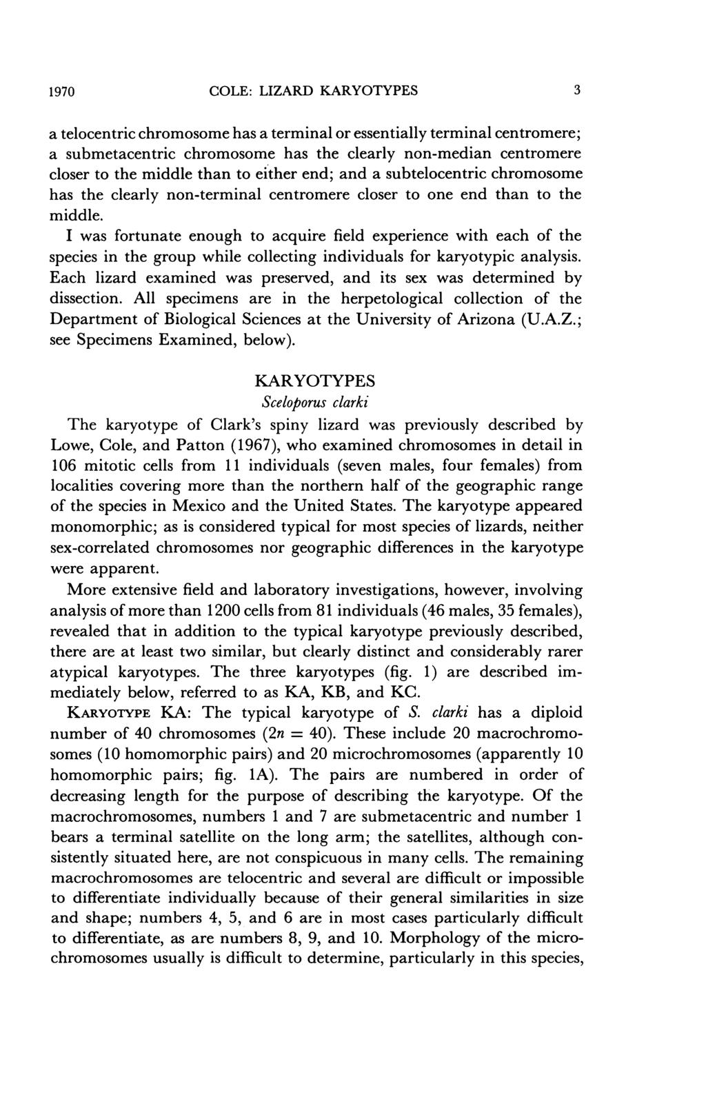 1970 COLE: LIZARD KARYOTYPES 3 a telocentric chromosome has a terminal or essentially terminal centromere; a submetacentric chromosome has the clearly non-median centromere closer to the middle than