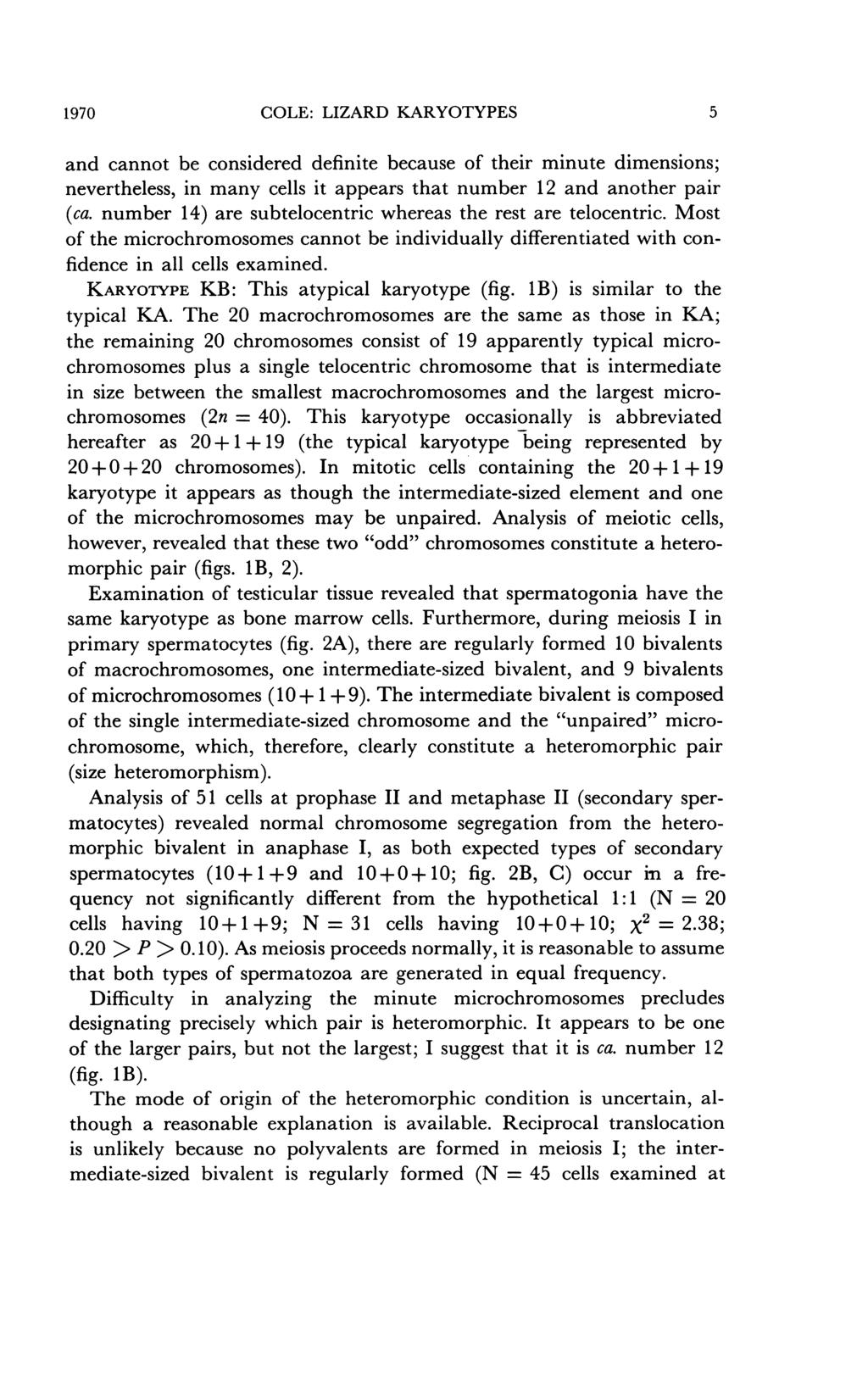 1970 COLE: LIZARD KARYOTYPES 5 and cannot be considered definite because of their minute dimensions; nevertheless, in many cells it appears that number 12 and another pair (ca.