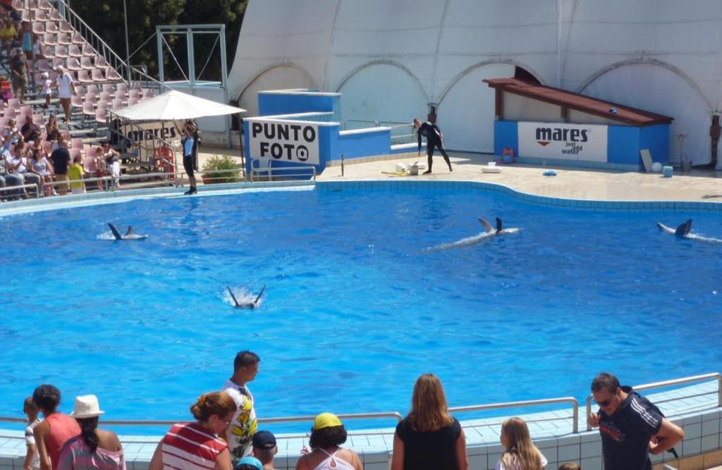DESPITE REQUIREMENTS, CAPTIVE FACILITIES CAN KEEP WHALES AND DOLPHINS 32 of the 33 captive