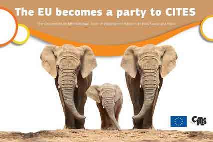 CITES The Secretariat will provide Parties with guidance about the
