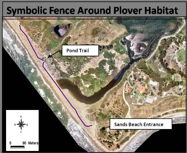 Figure 1. Location of the habitat protected for the Western Snowy Plovers (year round) on Sands beach at Coal Oil Point Reserve. The mudflats not shown in this photo area also protected.