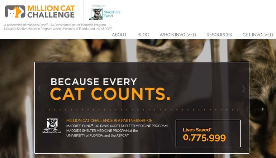 You can do it too! Sign on to the Million Cat Challenge!! http://www.