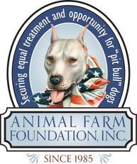 ,&american&pit&bull&terriers,&miniature& Bull&Terriers,&American&Staffordshire&Terriers,&Staffordshire&Bull&Terriers,&American&