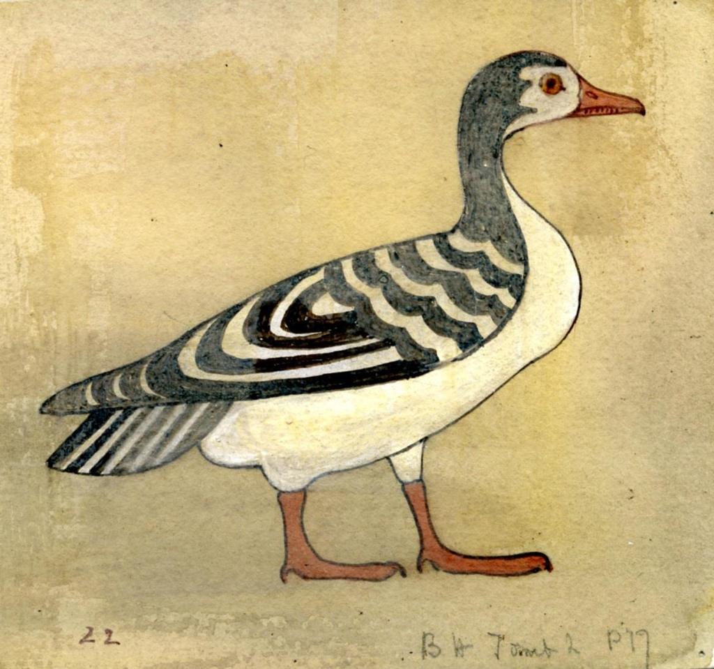 Goose hieroglyph from the tomb of Amenemhat