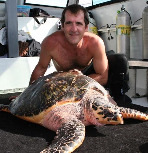 Herpetological Conservation and Biology LAWRENCE (LARRY) WOOD has been involved in marine turtle research, rehabilitation, and conservation in southern Florida for over 2 y.