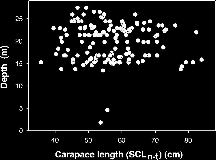 To compare foraging aggregations for which long (74 bp) sequence data are available (Palm Beach, Mona Island, and Cayman Islands), we performed an AMOVA in Arlequin 3.1 (Excoffier et al. 25).