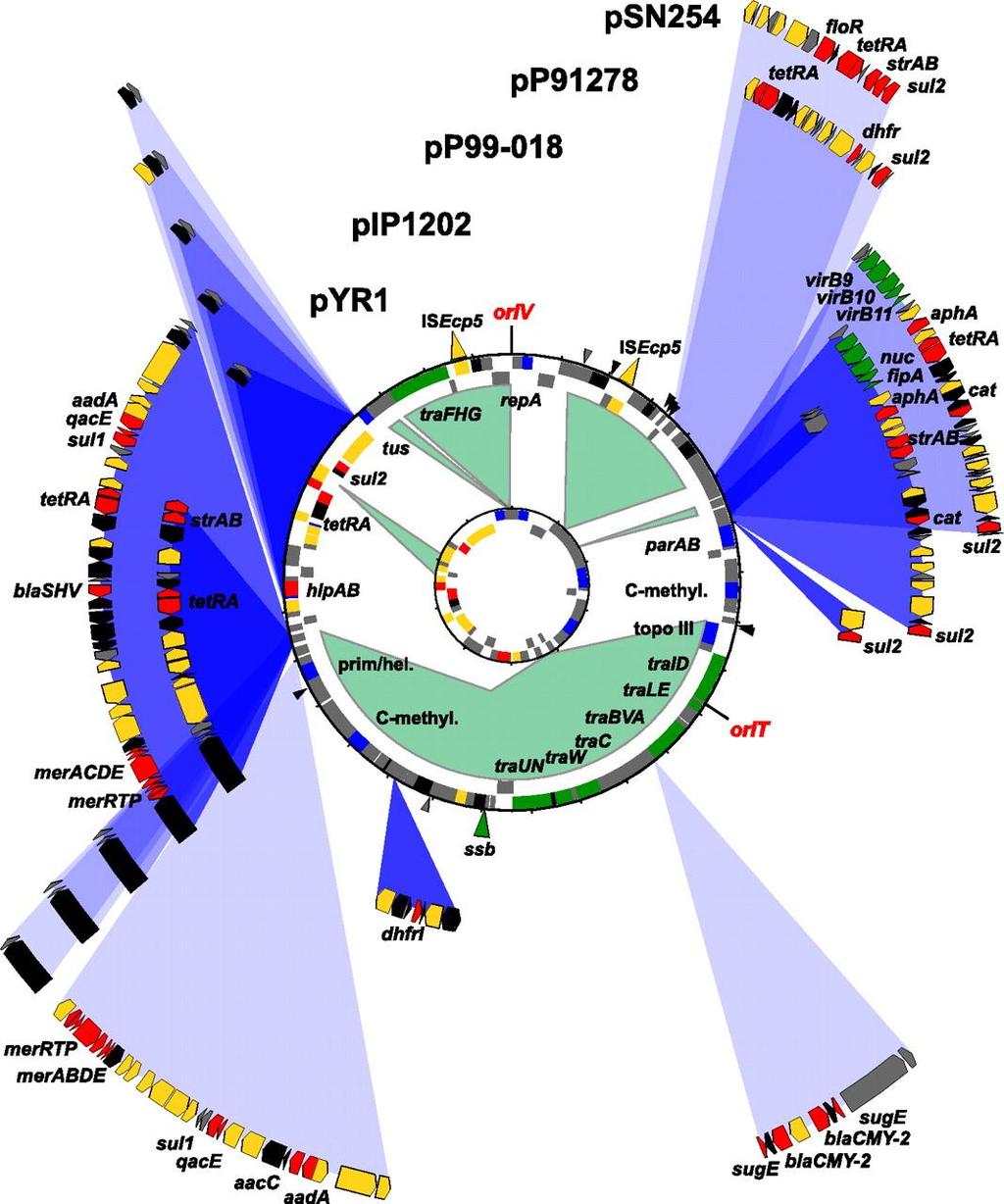 Broad Host Range IncA/C Multidrug Resistance Plasmid Photobacterium Salmonella Genes for horizontal transfer.