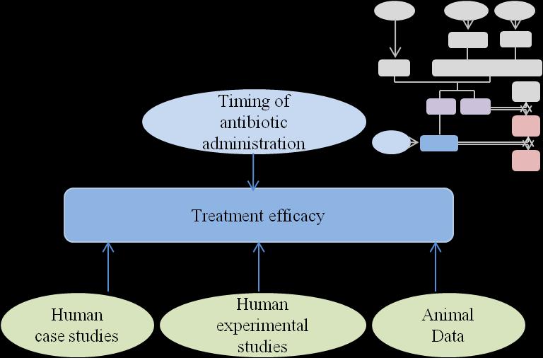 Efficacy of Antibiotics at Various Treatment Times The parameter describing the efficacy of treatment with antibiotics at various times was established using human case studies, human experimental