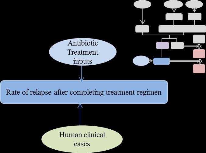 Figure 27. Modeling scheme for rate of relapse after completing the treatment regimen.