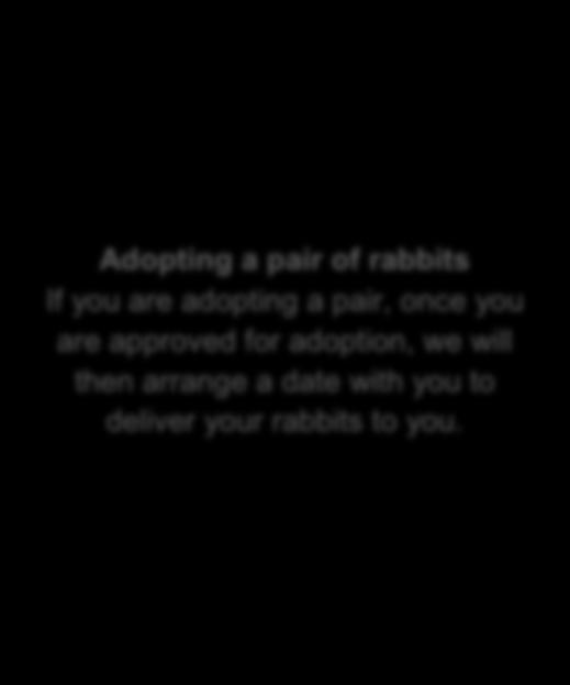 Adopting a friend for your single rabbit If you are adopting one rabbit to be friends with your current rabbit, once you are approved for adoption we will then arrange a date with you for you to