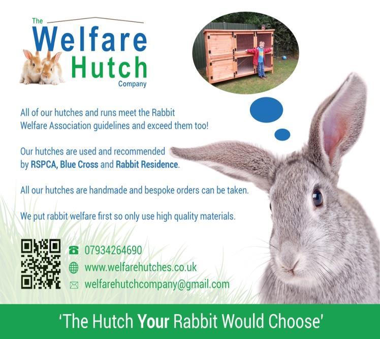 Outdoor Rabbits Think outside the hutch. This rabbit enclosure consists of an 8ftx6ft shed and an 11ftx6ft run and was purchased at a cost of 1500.