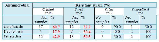 Campylobacter isolates: AMR patterns 1. No Campylobacter isolated from farms; 2. 63 isolates (35.0%) from 180 samples from markets; 3.