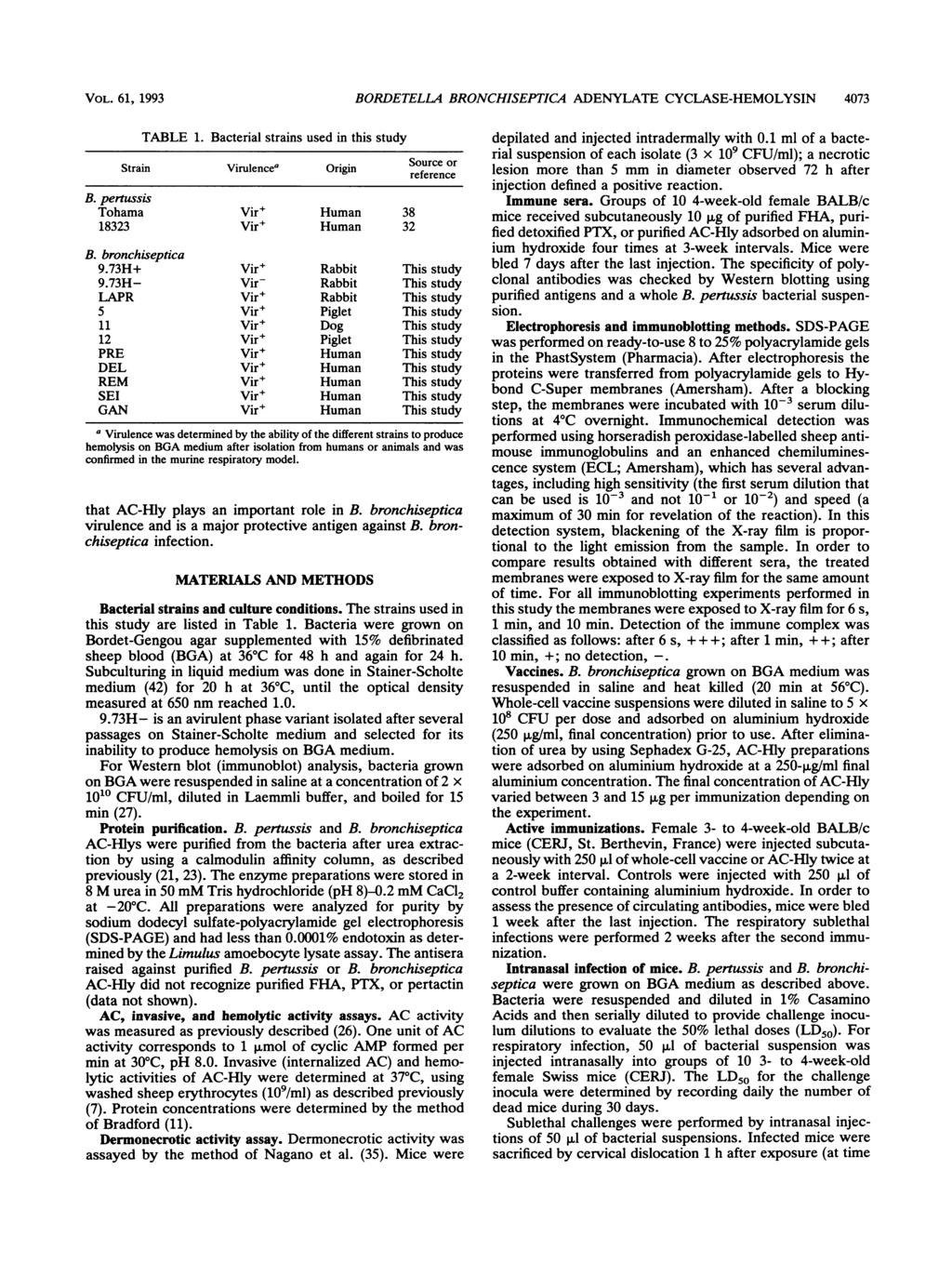 VOL. 61, 1993 BORDETELLA BRONCHISEPTICA ADENYLATE CYCLASE-HEMOLYSIN 473 TABLE 1. Bacterial strains used in this study Strain Virulencea Origin Source or reference B.
