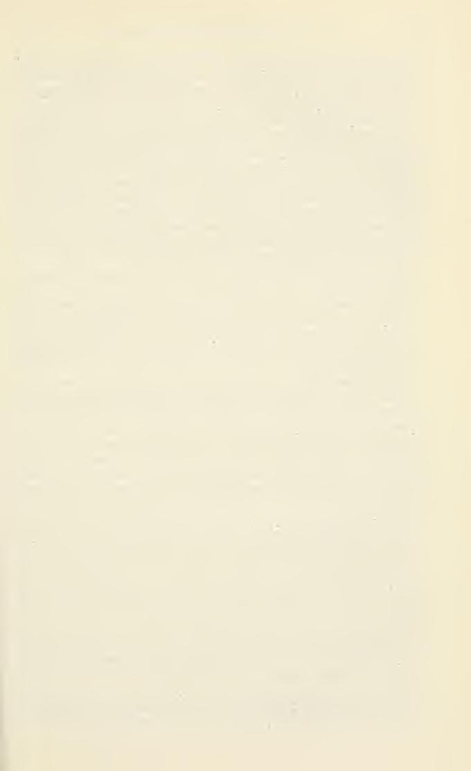 no. 3644 TIPHIIDAE KROMBEIN 13 Myzine tricolor Smith. Bingham, 1897, in part, p. 66 [the specimen from Assam]. Elis (Mesa) tricolor (Smith). Turner, 1912, in part, p.