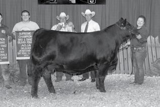 She later won four of the five shows she was exhibited at, including the AGJA Western Regionals.