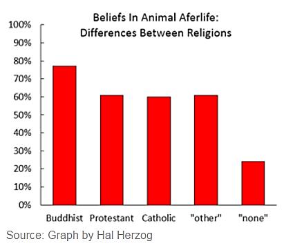 A Lot Of People Believe Animals Go To Heaven. Fifty-nine percent of the participants believed that humans experience an afterlife. And, of these, 75% believed in animal afterlife.