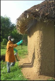 26 To reduce the number of mosquitoes escaping through eaves that existed in some huts between top of walls and roofs, spraying of these eaves was conducted.