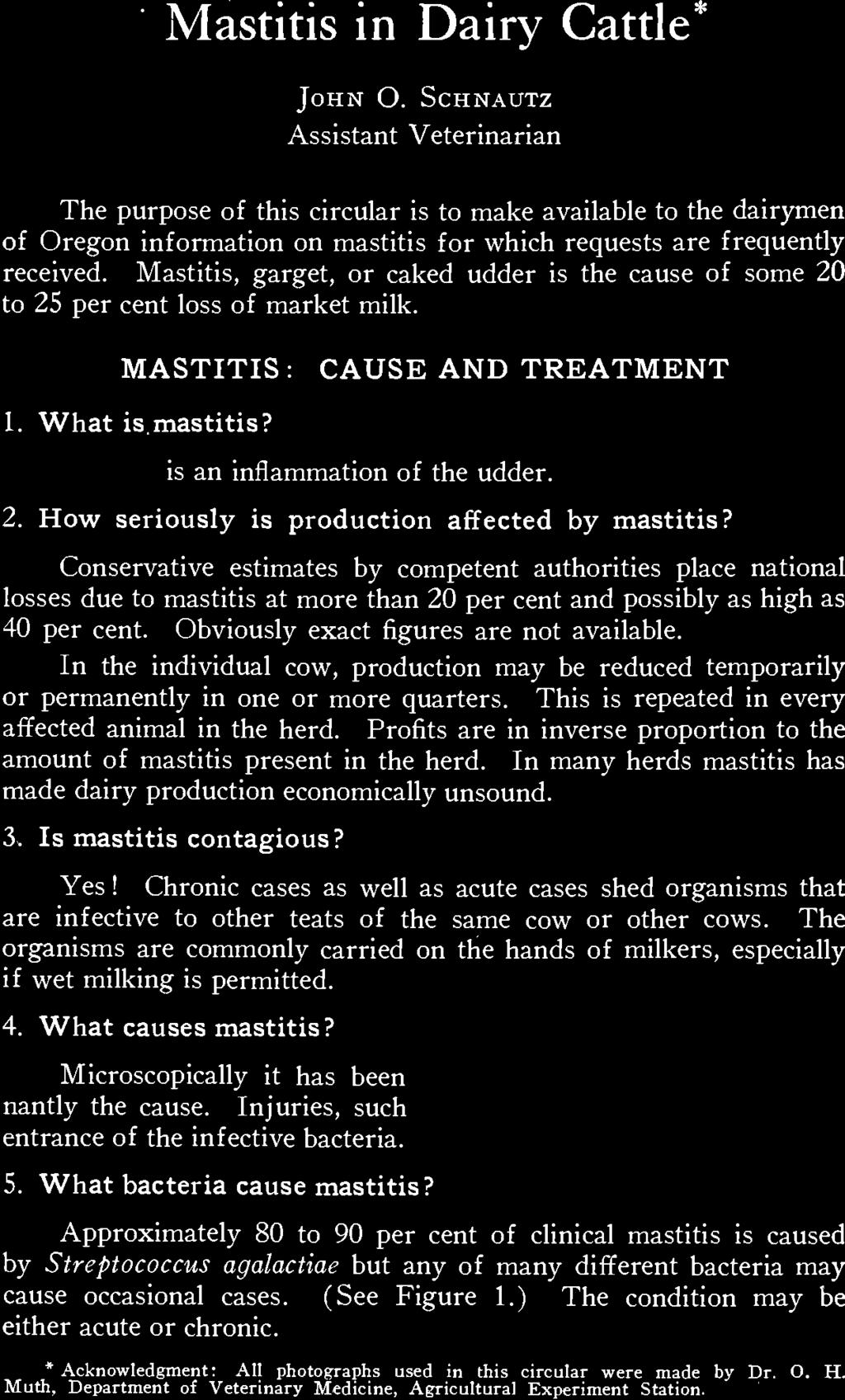 Mastitis, garget, or caked udder is the cause of some 20 to 25 per cent loss of market milk. MASTITIS: CAUSE AND TREATMENT What ismastitis? Mastitis is an inflammation of the udder.