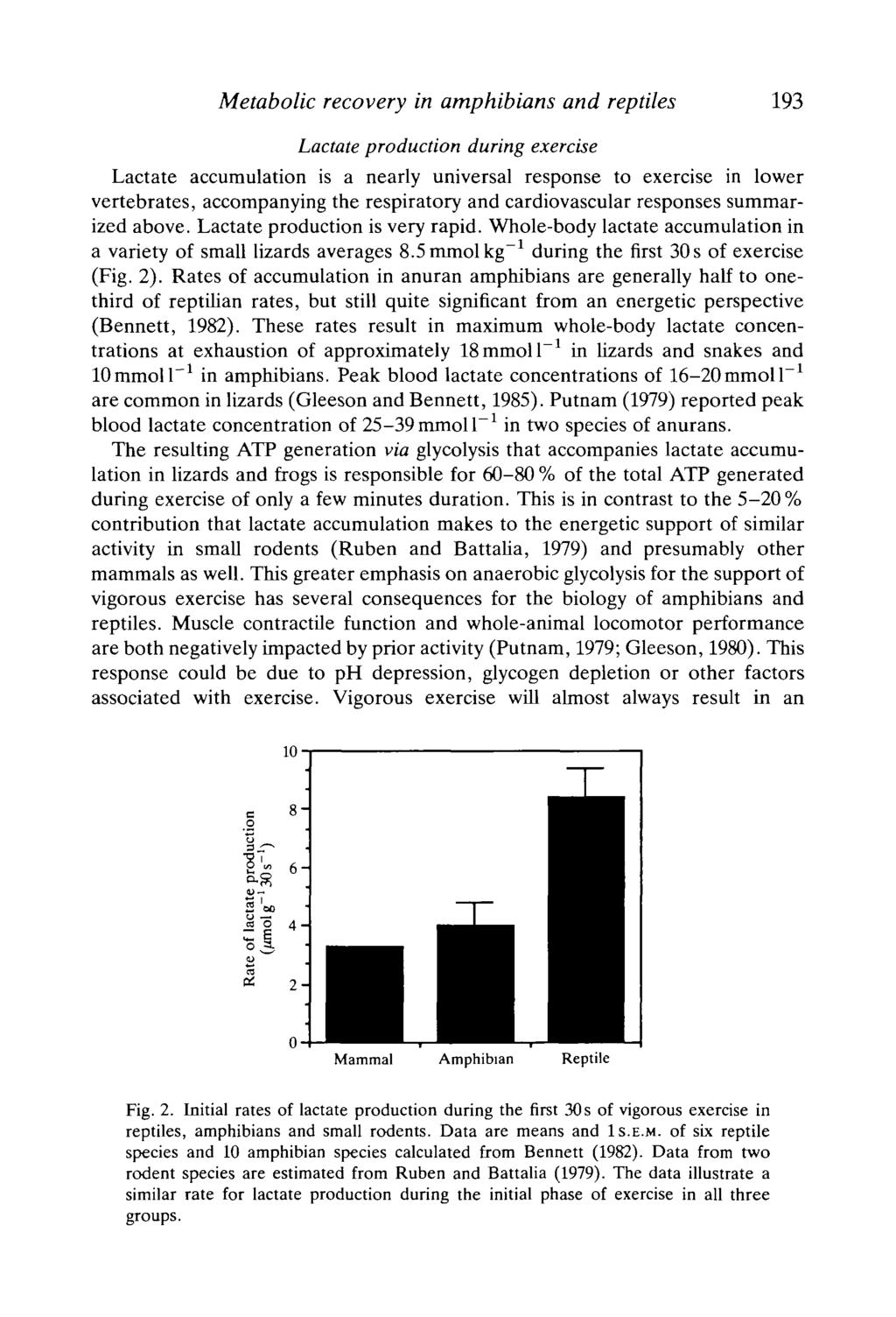 Metabolic recovery in amphibians and reptiles 193 Lactate production during exercise Lactate accumulation is a nearly universal response to exercise in lower vertebrates, accompanying the respiratory