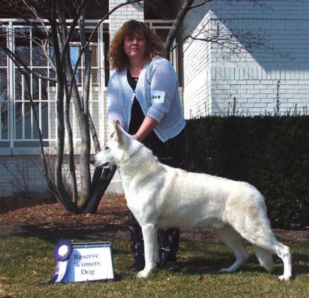 March/April Issue #: [Date] Issue 2009 Dolor Page Sit Amet 30 3 AWSA and 2 WSCC Shows Sponsored by the AWSA North Central Region Members in conjunction with the Chicagoland Family Pet Expo Arlington
