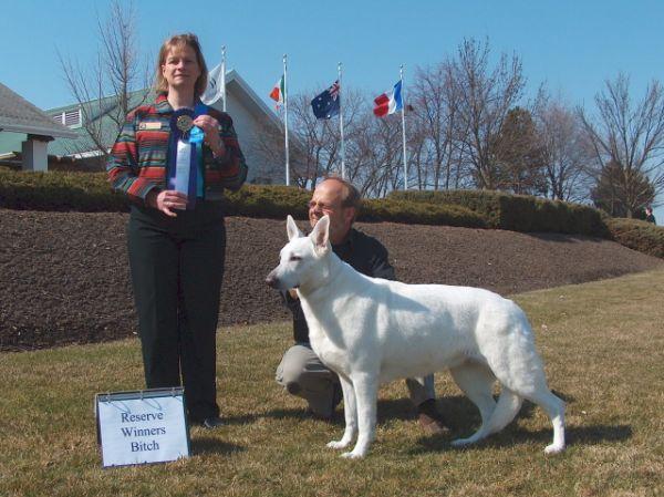 Providence, CGC,OFA Breeder/Owner: Jean Reeves 2 RWB 2 2 BOS WH-Proud Krystal Ann of the Lakes DOB: 04/22/05 Breeder: Katie Kosmach Owner: Kevin and Laura Connor Specials BOB #157 UKC