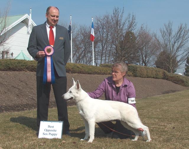 March/April Issue #: [Date] 2009 Dolor Page 9 Sit Amet AWSA/WSCC Chicago Land Pet Fair Dog Show By Arleen Ravanelli A Dog show yes, but like no other I have ever experienced.