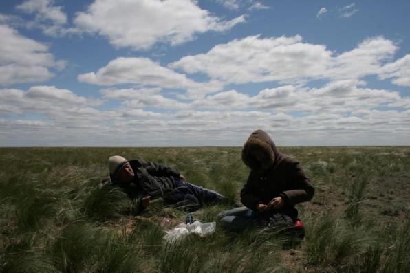 Sampling saiga on the steppe As part of a collaborative effort between the Ministry of Agriculture Hunting