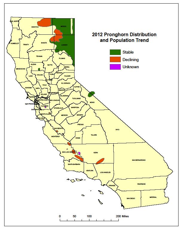 maintain a population of 5,600-7,000 animals in northeastern California, 300 animals within the Carrizo Plains area, and a minimum of 100 animals within the Tejon Ranch area (CDFG 2004). Figure 6.7. Pronghorn distribution and population trend in California (CDFG 2012).