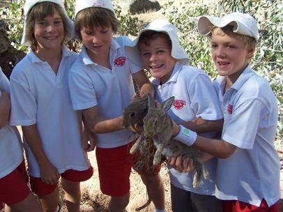 We re goin on a rabbit hunt! As a class you can now organise to participate in the national RabbitScan during May 2009.