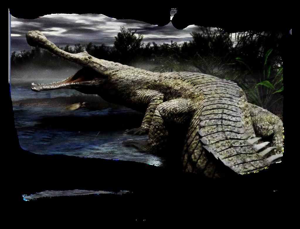 Sarcosuchus Hold Breath. The sarcosuchus can hold its breath for 1 hour.