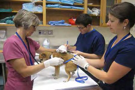 Maddie s Shelter Medicine Program at Purdue University offered a daylong workshop for veterinary and shelter personnel in Indianapolis.