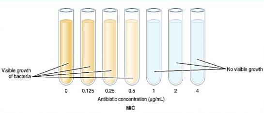 Minimum Inhibitory Concentration (MIC) MIC: