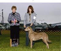 BRS CONFORMATION Smokey SRR's Kickin' Ash JH RN Owned by Gary & Cindy Franklin Handled by Cindy Franklin NEW CHAMPIONS