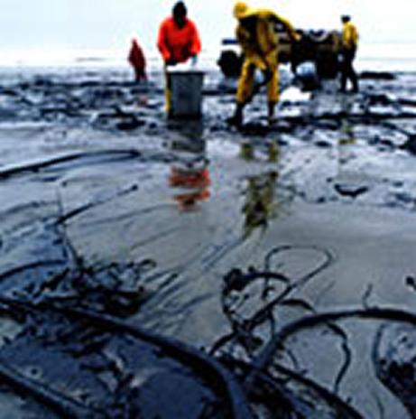 The oil spills in laska and the Gulf of Mexico have demonstrated the immediate destruction and long-term consequences that can happen when we remove or transport oil across the ocean.