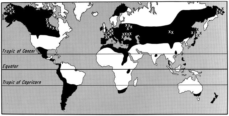Echinoccocus Granulosus Global Prevalence Map CDC Website, 2007 Distribution map of