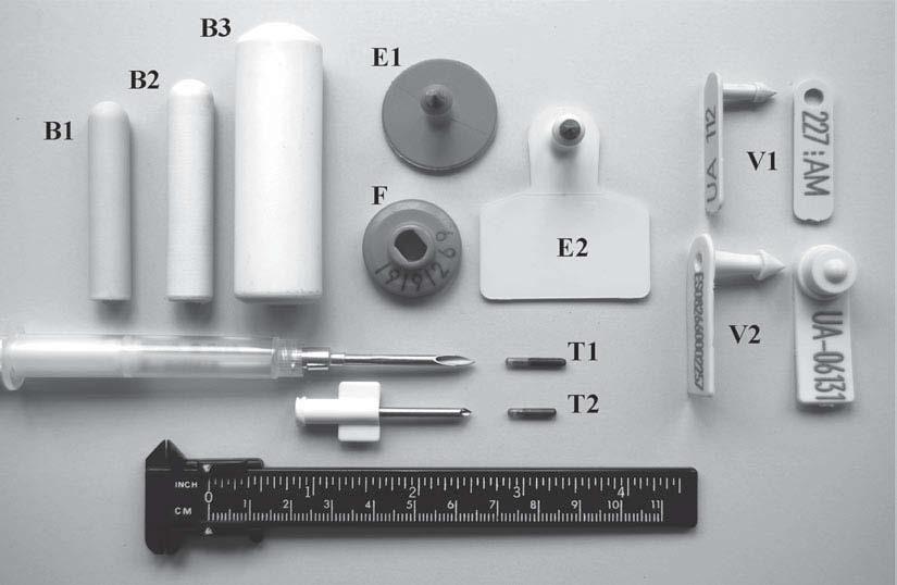 Figure 1. Electronic and visual devices used for the identification of dairy goats.