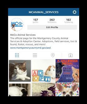 Ways the Cmmunity Can Help THE MONTGOMERY COUNTY ANIMAL SERVICES & ADOPTION CENTER 1.
