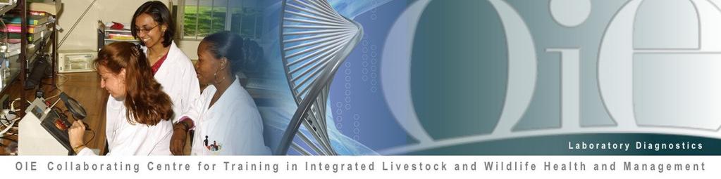 Professional Development Livestock Health, and Production High