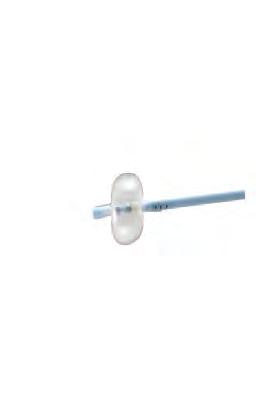 Disposable Extraction Systems Disposable Extraction Balloons Reference Length Diam. Guide wire Balloon diam. Description Price (cm) (fr) (mm) (mm) GF134509 200 5 0.